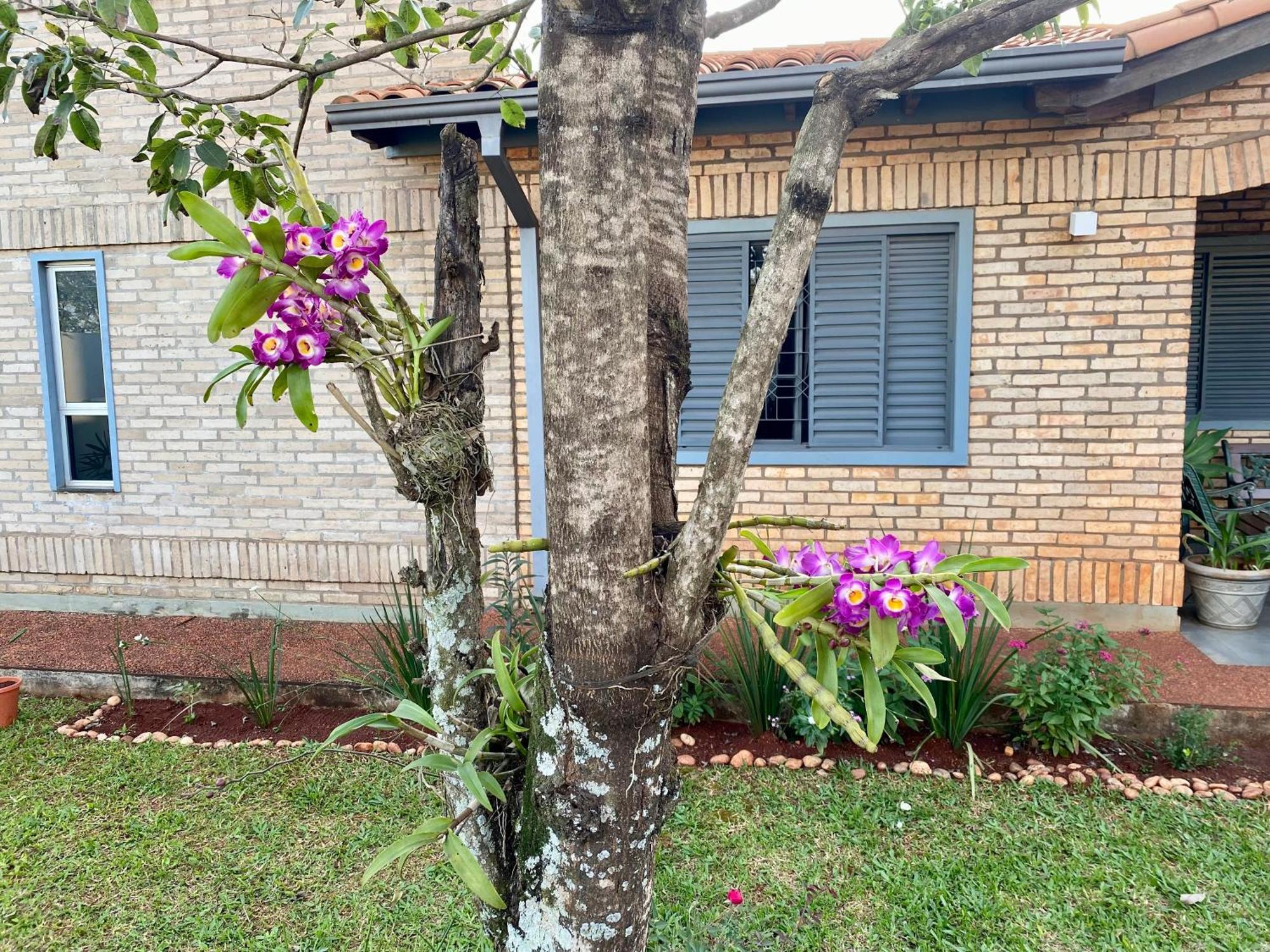 Moderna Y Unica Casa Independiente Con Jardin Y Estacionamiento Ciudad del Este Exterior foto